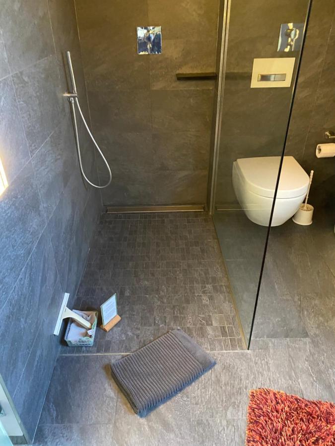 סארלואי Apartment Mit Dachloggia מראה חיצוני תמונה