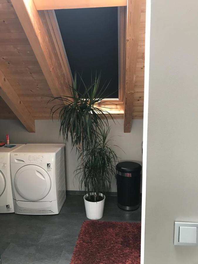 סארלואי Apartment Mit Dachloggia מראה חיצוני תמונה